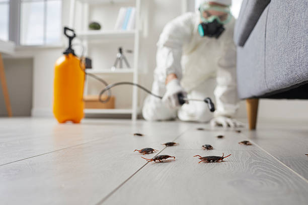 Trusted Emergency Pest Control service in Milford, UT - Nex Pest Control