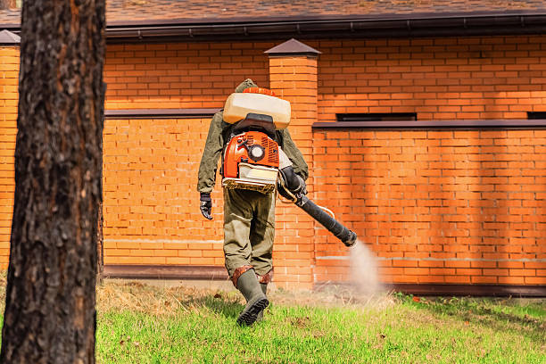 Trusted Ant Control service in Milford, UT - Nex Pest Control